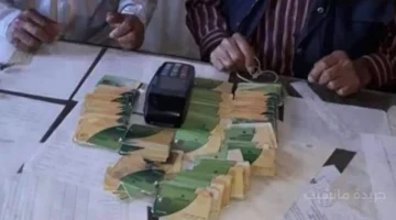 بشرى سارة.. فتح باب إضافة المواليد الجدد على بطاقة التموين 2025 اعرف الشروط والخطوات 1